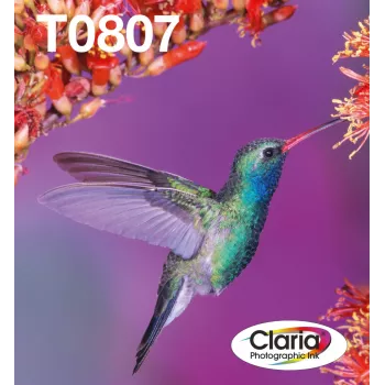 Tintes kasetņu komplekts Epson Hummingbird T0807 — 6 krāsas (melnā, ciānzilā, gaiši ciānzilā, gaiši fuksīnsarkanā, fuksīnsarkanā, dzeltenā)
