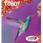 Tintes kasetņu komplekts Epson Hummingbird T0807 — 6 krāsas (melnā, ciānzilā, gaiši ciānzilā, gaiši fuksīnsarkanā, fuksīnsarkanā, dzeltenā)