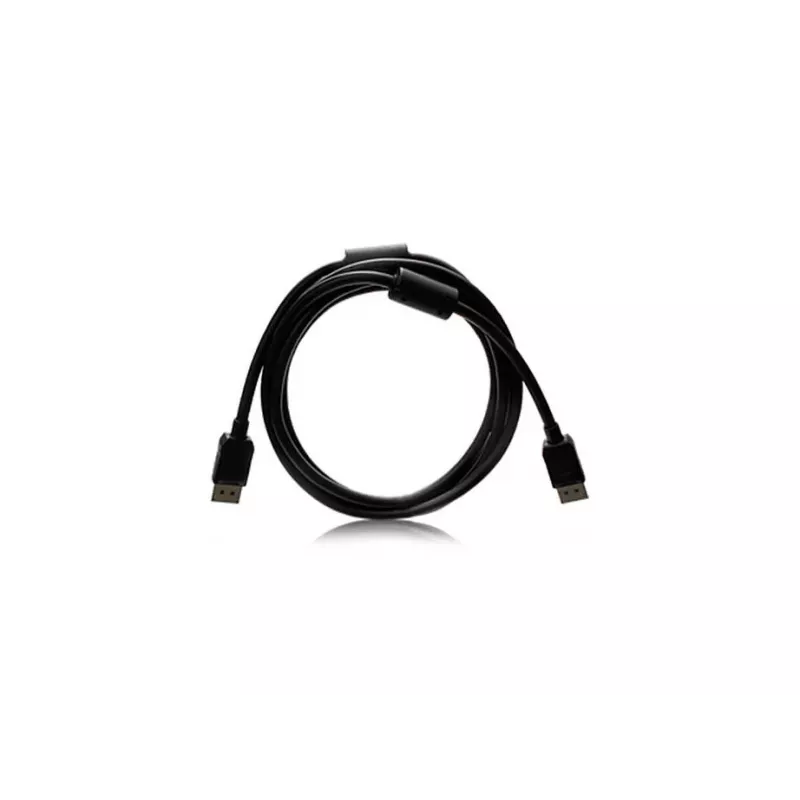 EIZO PP200-K 2 m DisplayPort melns