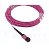 BlueOptics EMC CBL-MPO12-4LC-OM4-2M optiskās šķiedras kabelis MPO 4x LC 2m