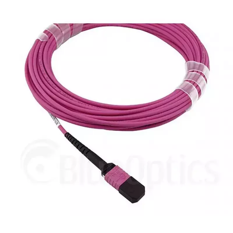 BlueOptics EMC CBL-MPO12-4LC-OM4-2M optiskās šķiedras kabelis MPO 4x LC 2m