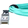 BlueOptics UACC-AOC-SFP28-30M-BO InfiniBand optisko šķiedru kabelis 30m SFP28 Vīrišķais