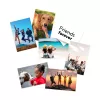 HP matētais fotopapīrs 180 g/m2 10 x 15 cm (101 x 152 mm) 25 loksnes
