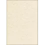 Mākslas papīra loksnes Sigel DP605 100 loksnes bēšs 90 g/m²
