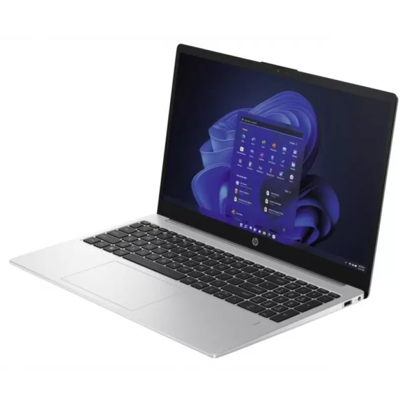 HP 250 G10 Intel® N N100 klēpjdators 39,6 cm (15,6 collas) Full HD 8 GB DDR4-SDRAM 256 GB SSD Wi-Fi 6 (802.11ax) Windows 11 Home Sudraba