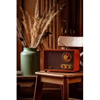 Pārnēsājams radio Adler AD 1171 — AM/FM, 10 W RMS, Bluetooth, ārējā antena, bronzas, 290×200×172 mm