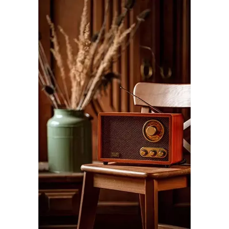 Pārnēsājams radio Adler AD 1171 — AM/FM, 10 W RMS, Bluetooth, ārējā antena, bronzas, 290×200×172 mm