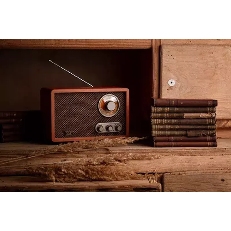 Pārnēsājams radio Adler AD 1171 — AM/FM, 10 W RMS, Bluetooth, ārējā antena, bronzas, 290×200×172 mm