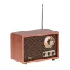 Pārnēsājams radio Adler AD 1171 — AM/FM, 10 W RMS, Bluetooth, ārējā antena, bronzas, 290×200×172 mm
