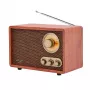 Pārnēsājams radio Adler AD 1171 — AM/FM, 10 W RMS, Bluetooth, ārējā antena, bronzas, 290×200×172 mm