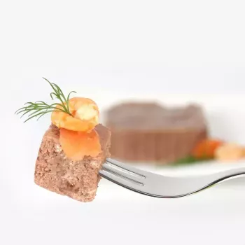 Mitrā kaķu barība animonda Vom Feinsten Mature Salmon 100 g — pieaugušiem, paplāte, bez lipekļa un sojas