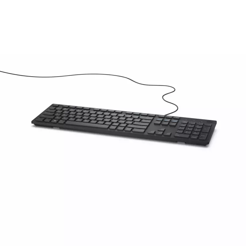 DELL KB216 tastatūra Universāla USB QWERTY US International Melna