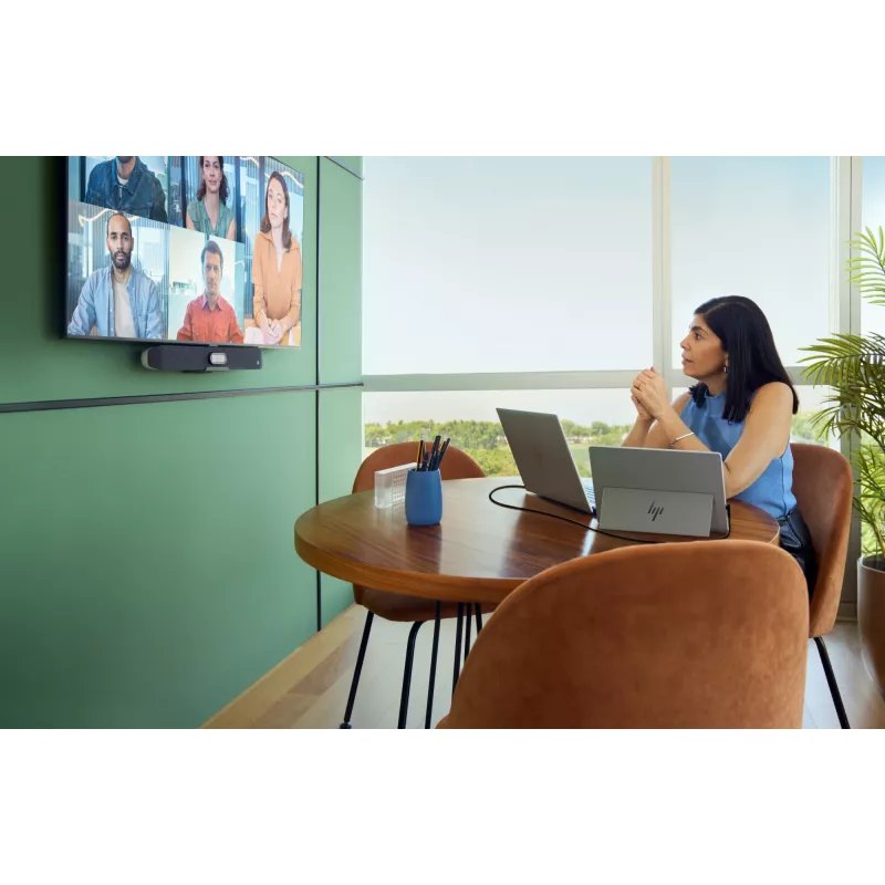HP Series 5 Pro 14 collu WQXGA portatīvais monitors - 514pn