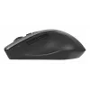 ASUS WT425 pele Birojam Labroku RF bezvadu Optiskā 1600 DPI