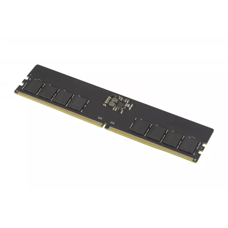 Goodram Pami DDR5 16GB/4800 CL40 - 16 GB atmiņas modulis 1 x 16 GB 288-pin DIMM ECC