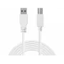 Sandberg USB 3.0 A-B kabelis 1,8 m, 1,8 m, USB A, USB B, USB 3.2 Gen 1 (3.1 Gen 1), 5 Gbit/s, Balta
