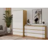Skapis top e shop MALWA SS-90, 900×500×1800 mm, amatniecības ozolkoka rāmis, baltas veramas durvis, 2 atvilktnes, kokskaidu plātne