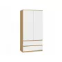 Skapis top e shop MALWA SS-90, 900×500×1800 mm, amatniecības ozolkoka rāmis, baltas veramas durvis, 2 atvilktnes, kokskaidu plātne