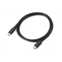 Lenovo | Thunderbolt4 USB-C uz C kabelis, 1 m