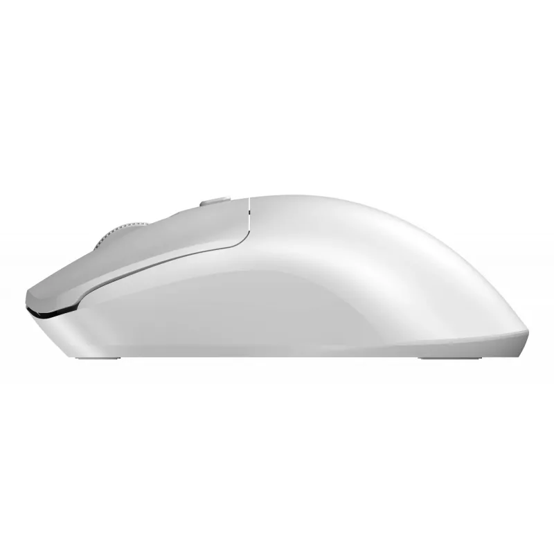 Sandberg Wireless pele Saver balta, piemērota abām rokām, RF bezvadu, 1600 DPI, balta