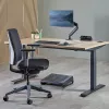 Fellowes 100137182 strāvas pagarinātājs 2 m 2 maiņstrāvas rozetes Iekštelpām Melns