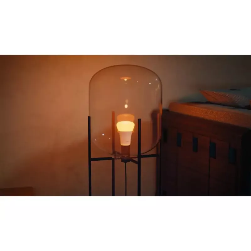 Philips Hue balta and colour ambience A60 – E27 viedā spuldze – 810