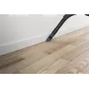 Hoover HP105HM 011 2 L cilindriskais putekļsūcējs Sausā tīrīšana 700 W Bez maisiņa
