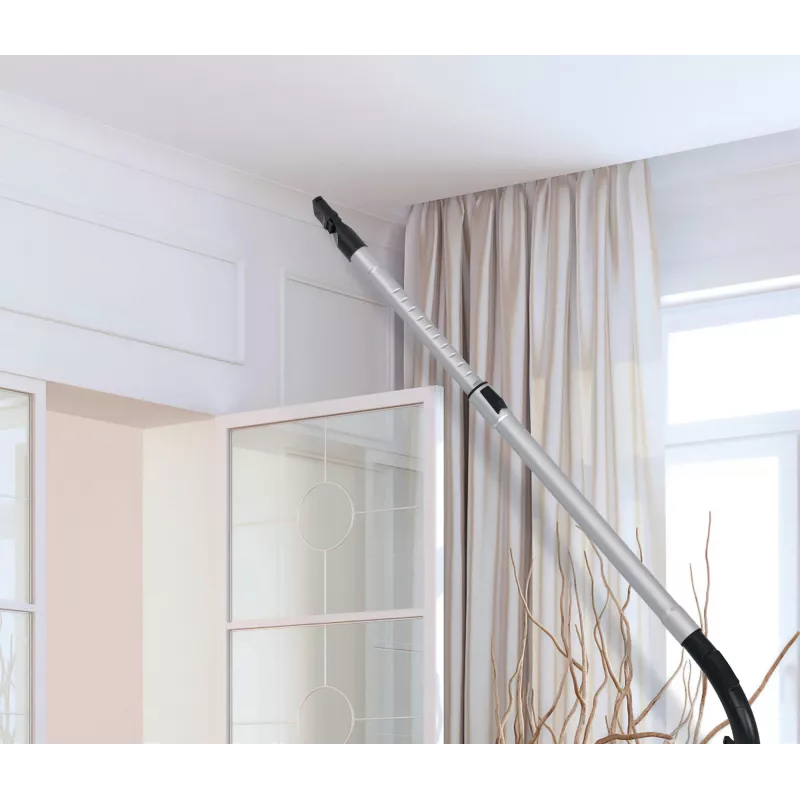 Hoover HP210P 011 2,5 L cilindriskais putekļsūcējs Sausā tīrīšana 800 W Bez maisiņa