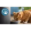 Automātiskā mājdzīvnieku barotava Philips 5000 sērija PAW5320/02 ar kameru, 4,5 L barības un ūdens ietilpība, plastmasas korpuss, iekštelpu lietošanai