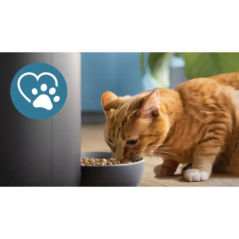 Automātiskā mājdzīvnieku barotava Philips 5000 sērija PAW5320/02 ar kameru, 4,5 L barības un ūdens ietilpība, plastmasas korpuss, iekštelpu lietošanai