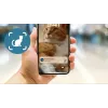 Automātiskā mājdzīvnieku barotava Philips 5000 sērija PAW5320/02 ar kameru, 4,5 L barības un ūdens ietilpība, plastmasas korpuss, iekštelpu lietošanai