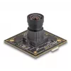 Webkameras DeLOCK 12073 8.3 Mpikseļi 3840 x 2160 USB 2.0 Melns