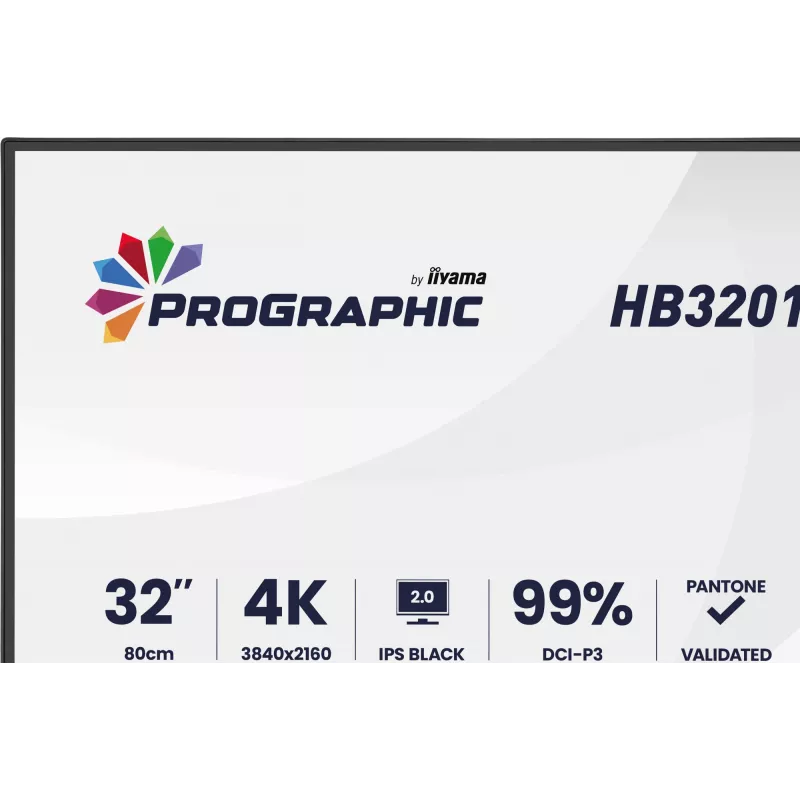 IIYAMA 32 inch ProGraphic HB3201UHSNP-B1 4K UHD IPS LCD monitors ar USB-C un DisplayPort