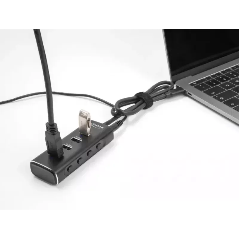DeLOCK 4 portu USB centrmezgls 10 Gbps Type-C 60 cm kabelis ar slēdzi