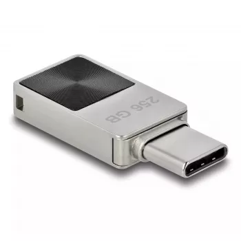 USB zibatmiņa DeLOCK 256GB USB-C 3.2 Gen 1 metāla korpusā