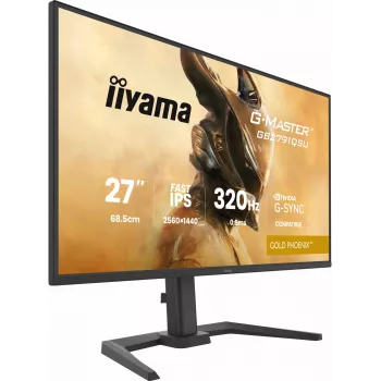 Spēļu monitors IIYAMA GB2791QSU-B1 27 collas (68,6 cm) QHD ar HDMI, DisplayPort un USB, melns