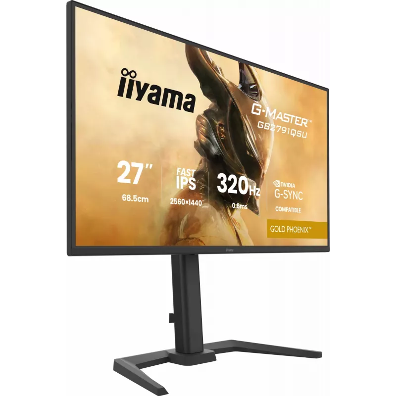 Spēļu monitors IIYAMA GB2791QSU-B1 27 collas (68,6 cm) QHD ar HDMI, DisplayPort un USB, melns