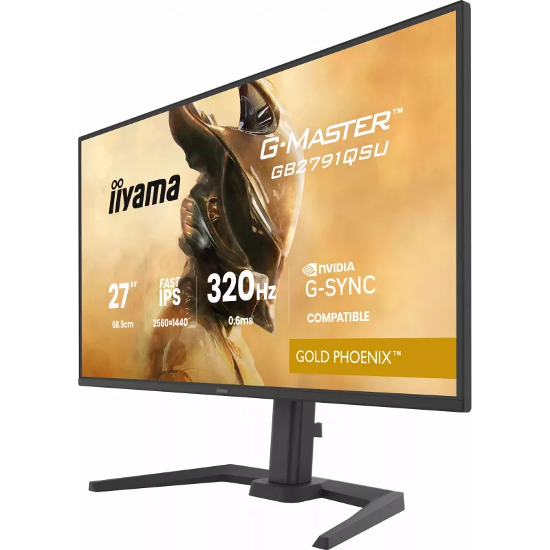 Spēļu monitors IIYAMA GB2791QSU-B1 27 collas (68,6 cm) QHD ar HDMI, DisplayPort un USB, melns
