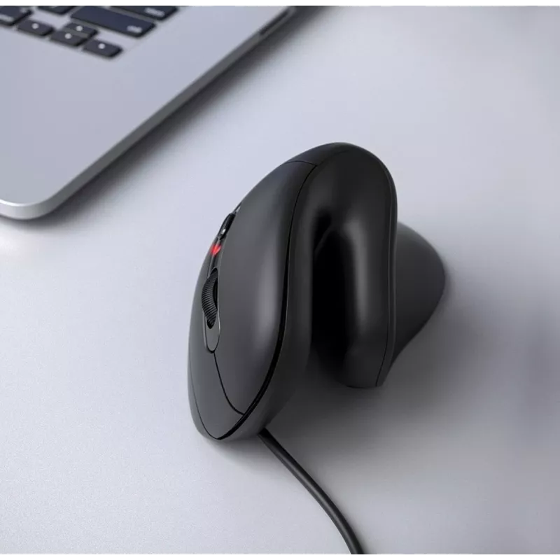 Equip 245119 pele Universāla labās rokas USB Type-A + USB Type-C Optiskā 7200 DPI