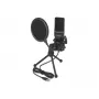 PC mikrofons DeLOCK 66331