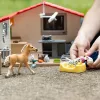 Veterinārārsta prakse ar mājdzīvniekiem Schleich 42502