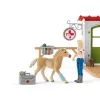 Veterinārārsta prakse ar mājdzīvniekiem Schleich 42502