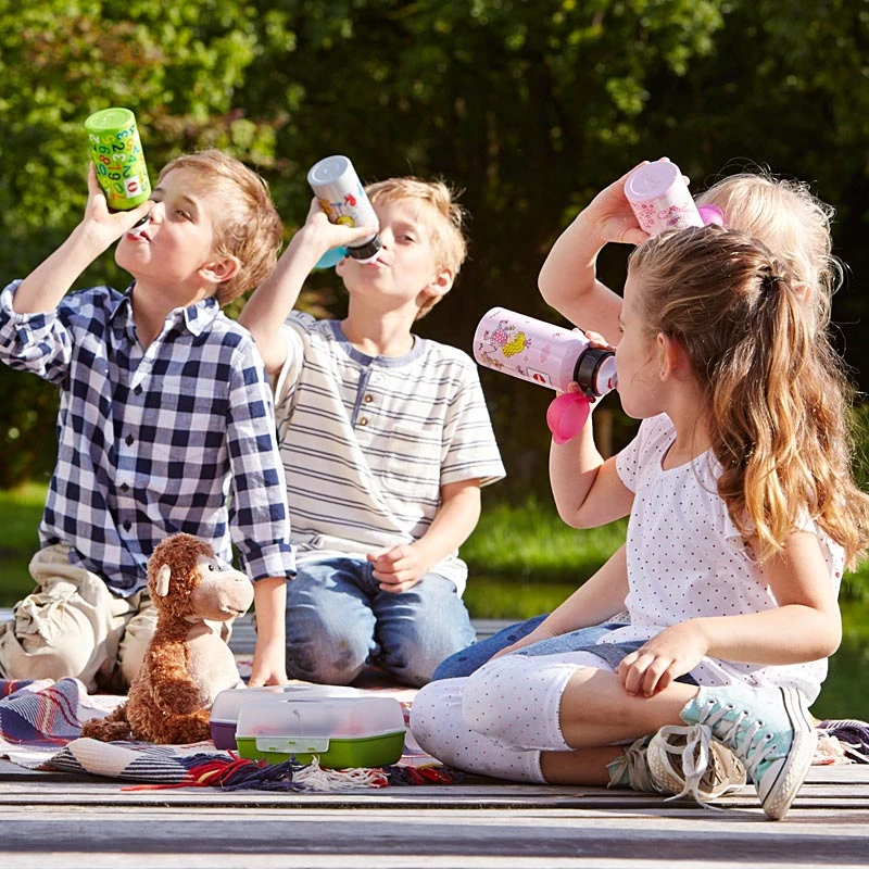 EMSA 518140 dzeramā pudele Polipropilēns (PP), Tritan Zaļš