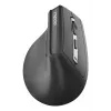 Pele Rapoo EV310M RF bezvadu + Bluetooth