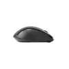 Pele Rapoo M500 Silent, labās rokas, RF bezvadu, Bluetooth, optiskā