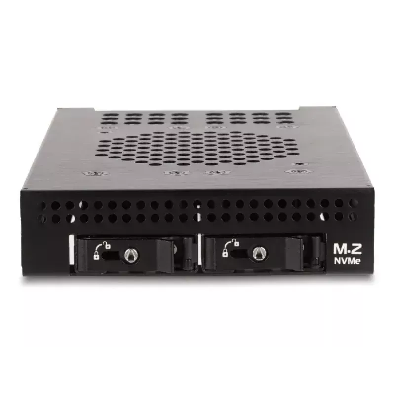 HDD Cage DeLOCK 47070 Rack Saderīga Metal 100mm Width