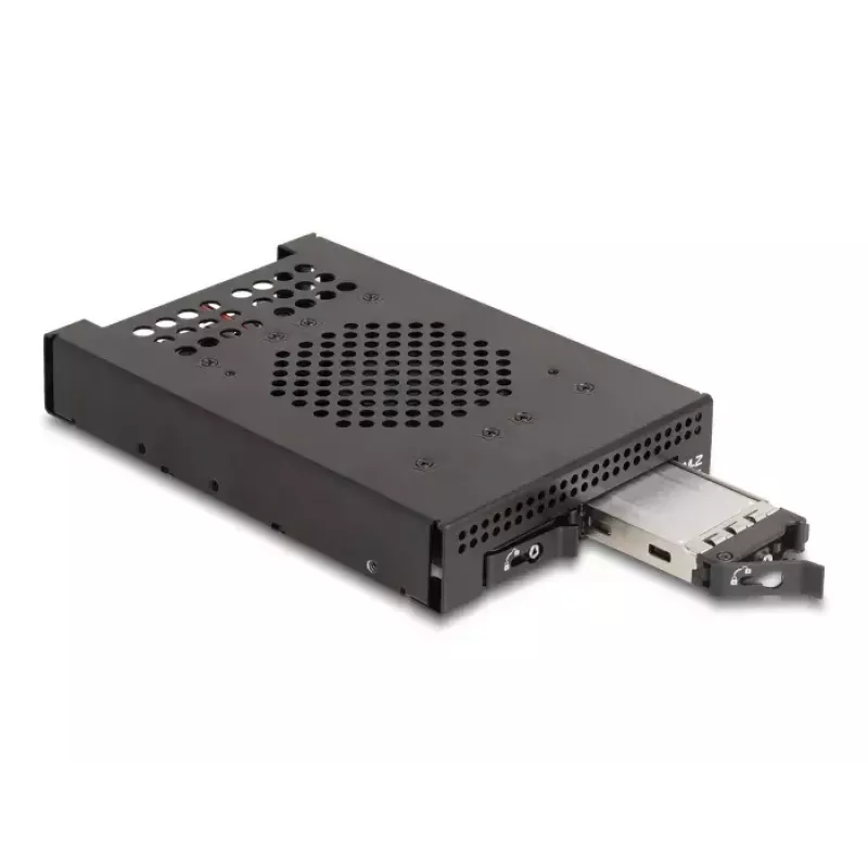 HDD Cage DeLOCK 47070 Rack Saderīga Metal 100mm Width