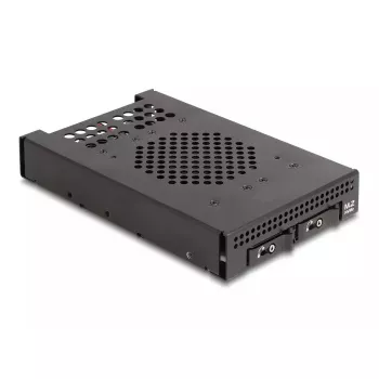 HDD Cage DeLOCK 47070 Rack Saderīga Metal 100mm Width