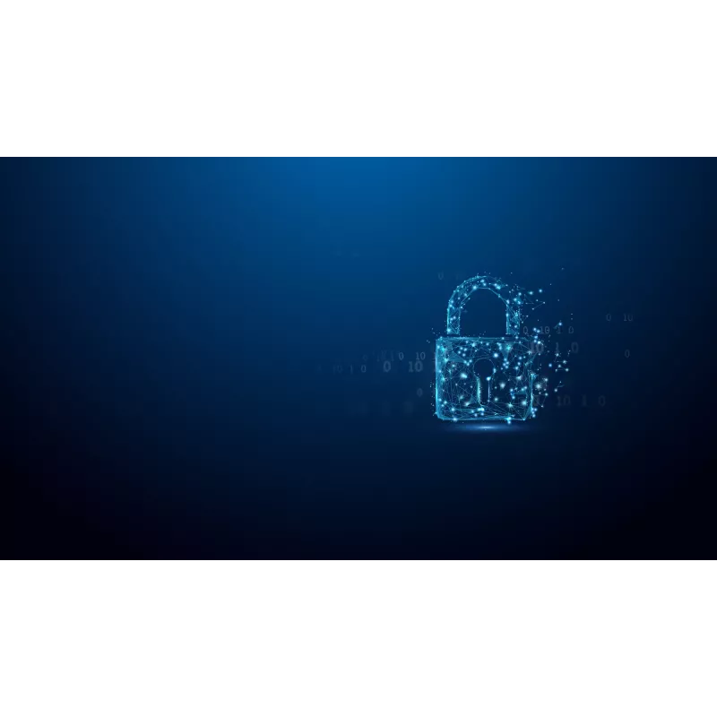 Kingston Technology IronKey 256GB D500S FIPS 140-3 3. līmenis AES-256