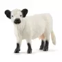 Schleich Galloway govs 13960 melnbalta Ieteicamais vecums 3+